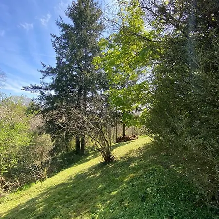 La D Hotes De Marie Independante Et Sa Terrasse Avec Vue Panoramique Proche Alpes Mancelles Guest house Sille-le-Guillaume
