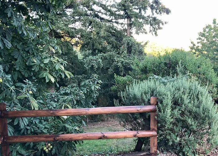 La D Hotes De Marie Indépendante Et Sa Terrasse Avec Vue Panoramique Proche Alpes Mancelles Sillé-le-Guillaume