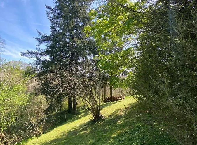 La D Hotes De Marie Indépendante Et Sa Terrasse Avec Vue Panoramique Proche Alpes Mancelles Maison d'hôtes Sillé-le-Guillaume